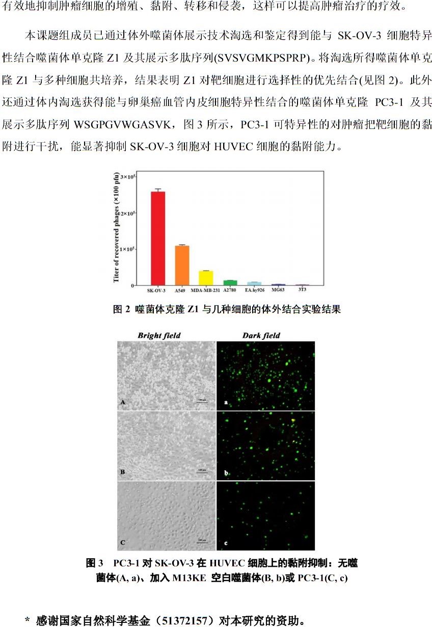 噬菌体肽库技术淘选肿瘤靶向肽